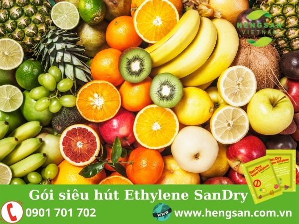 Gói siêu hút ethylen Sandry bảo quản trái cây - SanDry - Công Ty TNHH Hengsan Việt Nam